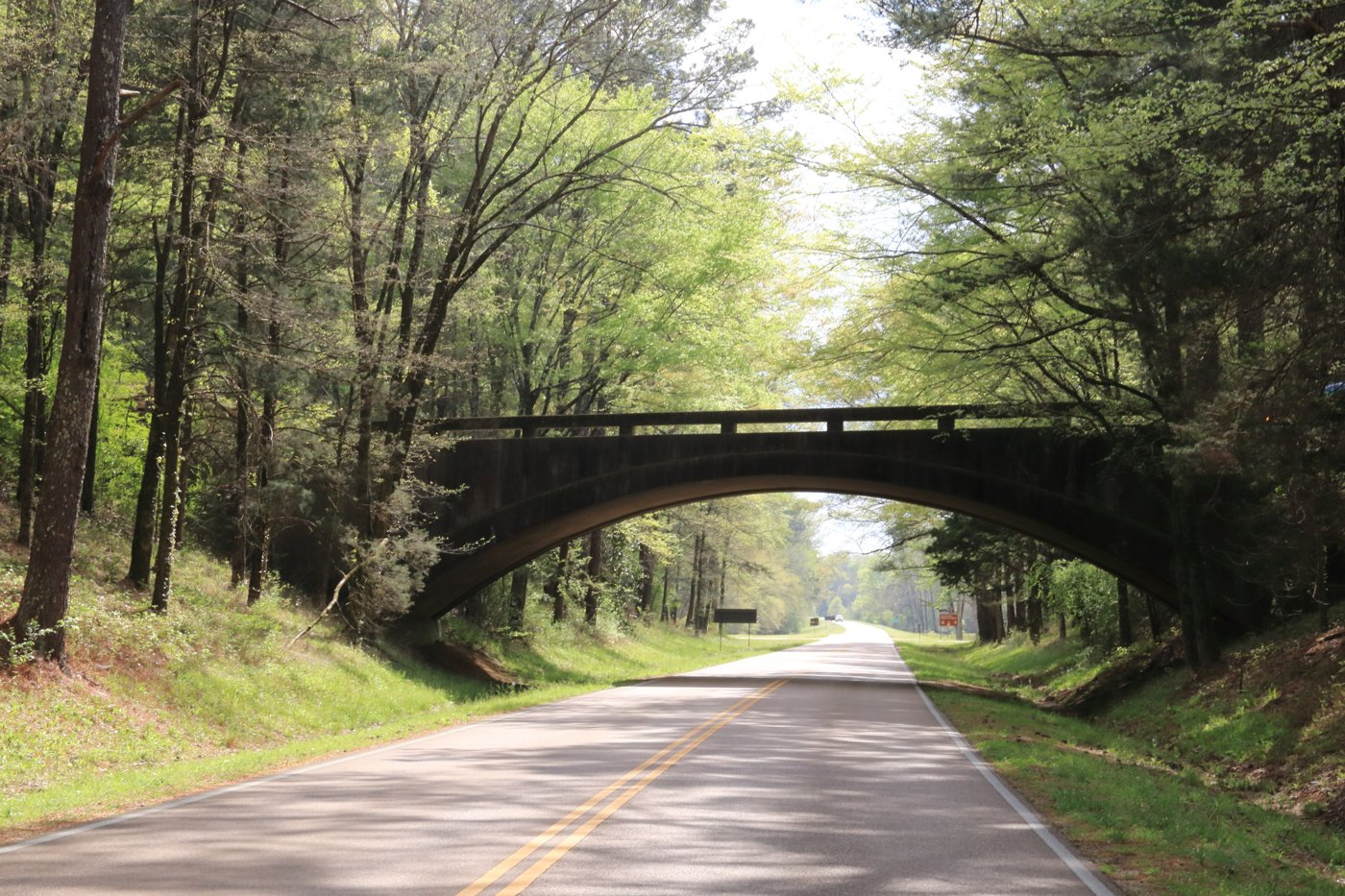 Scenic Natchez Trace Parkway surrounded by green trees
